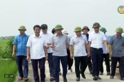 Kiểm tra, chỉ đạo phòng trừ sâu bệnh trên lúa mùa 