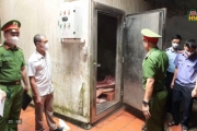 Phát hiện gần 1 tấn thịt lợn nhiễm bệnh
