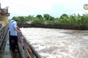 Tiêu thoát nước bảo vệ sản xuất nông nghiệp