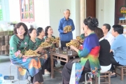 Trải nghiệm mùa nhãn chín 