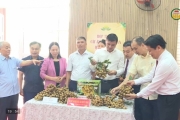 Xúc tiến thương mại tiêu thụ nhãn và các sản phẩm truyền thống 