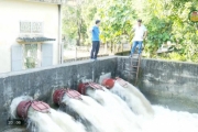 Chủ động phòng chống ngập úng, đề phòng mưa lớn