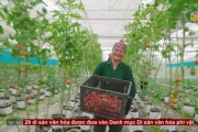 Đưa Nghị quyết vào cuộc sống