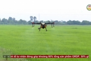 Hiệu quả sử dụng thiết bị bay để phun thuốc trừ sâu