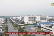 Hưng Yên thu hút gần 1,6 tỷ USD vốn FDI trong 8 tháng