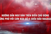Hướng dẫn ngư dân trên biển chủ động ứng phó với cơn bão số 9 (siêu bão RAGASA) trên Biển Đông