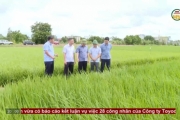 Kiểm tra sản xuất nông nghiệp