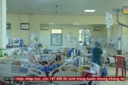 Ngộ độc nặng sau khi uống rượu ngâm củ ấu tàu