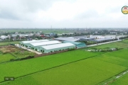 Cán bộ, đảng viên tiên phong trong giải phóng mặt bằng