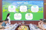 Chuẩn bị cho Festival hoa và cây cảnh tỉnh Hưng Yên 