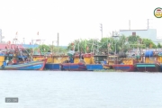 Gỡ 