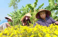 Đưa nghị quyết của Đảng v&agrave;o cuộc sống 