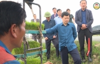 Đồng chí Phó Bí thư Thường trực Tỉnh ủy, Chủ tịch HĐND tỉnh kiểm tra sản xuất nông nghiệp tại huyện Ân Thi