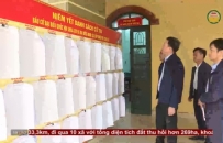 Chuẩn bị cho ng&agrave;y hội non s&ocirc;ng