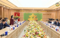 Gi&aacute;m s&aacute;t c&ocirc;ng t&aacute;c chuẩn bị bầu cử