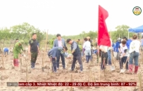 Trồng c&acirc;y m&ugrave;a xu&acirc;n