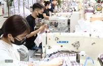 Nỗ lực sản xuất, kinh doanh