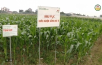 Ph&aacute;t triển dự &aacute;n, c&ocirc;ng tr&igrave;nh khoa học về n&ocirc;ng nghiệp