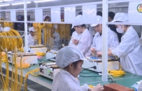 Phát triển công nghiệp đạt nhiều kết quả tích cực