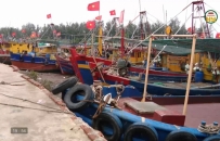  Thực hiện nghi&ecirc;m lệnh cấm biển trước b&atilde;o số 4