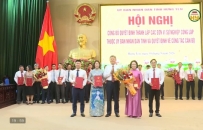 Th&agrave;nh lập c&aacute;c đơn vị sự nghiệp c&ocirc;ng lập thuộc UBND tỉnh