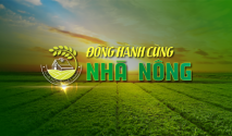 Đồng hành cùng nhà nông thứ 4 ngày 31/05/2023