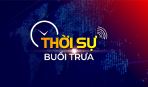 Thời sự trưa 11h30 thứ 4 ngày 31/05/2023