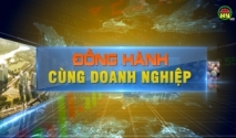 Chuyển đổi số, tự hóa trong doanh nghiệp