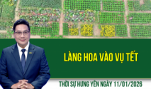 Thời sự Hưng Y&ecirc;n Chủ nhật ng&agrave;y 11/1/2026