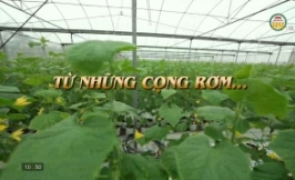 Chuyện góc bếp "Từ những cọng rơm..."