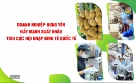 Doanh nghiệp Hưng Yên đẩy mạnh xuất khẩu, tích cực hội nhập kinh tế quốc tế