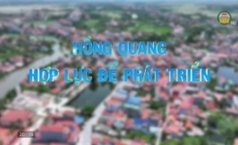 Hồng Quang hợp lực để phát triển