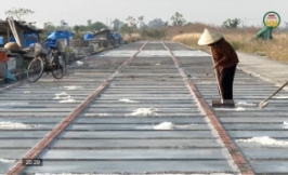 Mặn m&ograve;i hạt muối Tam Đ&ocirc;ng