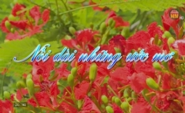 " Nối dài những ước mơ"