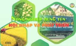 Nuôi thả thủy sản vietgap - Hướng đi mới cho nhiều hộ dân