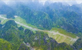 Xanh ngút ngàn mùa lúa Tam Cốc