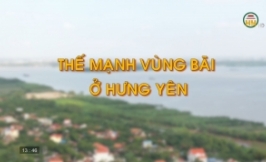 Thế mạnh vùng bãi ở Hưng Yên 