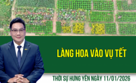 Thời sự Hưng Y&ecirc;n Chủ nhật ng&agrave;y 11/1/2026