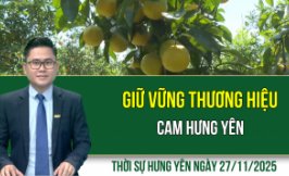 Thời sự Hưng Yên thứ Năm ngày 27/11/2025