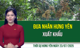 Thời sự Hưng Yên thứ Sáu ngày 25/07/2025