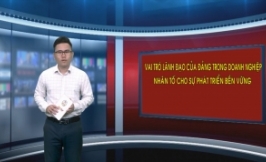 Vai trò lãnh đạo của Đảng trong doanh nghiệp - Nhân tố cho sự phát triển bền vững