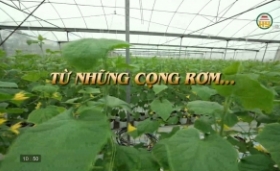 Chuyện góc bếp "Từ những cọng rơm..."