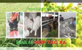 Lãng phí nhân lực, vật lực ở 139 Hợp tác xã dịch vụ nông nghiệp tại Hưng Yên
