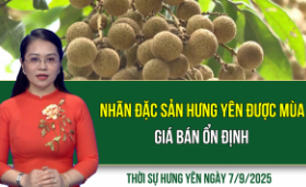 Thời sự Hưng Yên Chủ nhật ngày 7/9/2025