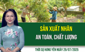 Thời sự Hưng Yên thứ Ba ngày 29/07/2025