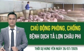 Thời sự Hưng Yên thứ Bảy ngày 26/07/2025