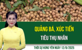 Thời sự Hưng Yên thứ Ba ngày 12/8/2025