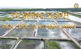 Từ rừng xanh đến cuộc sống bền vững