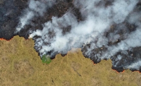 Ảnh mới nhất cho thấy tình trạng “đáng báo động” về cháy rừng ở Amazon