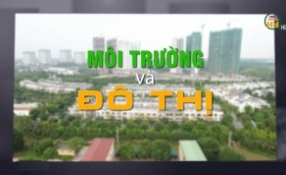 Chuyển biến về môi trường ở khu dân cư NTM kiểu mẫu